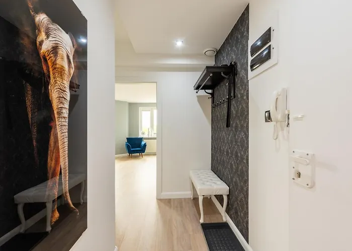 Szafir * كولوبرزيغ